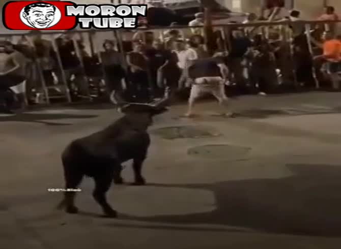 Video :It's not a good idea to show your butt to a bull